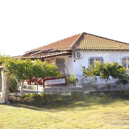 Amarantos Beautiful Garden House Villa Metokhion Patriotikon Exterior photo